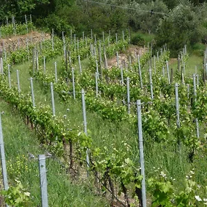 Alloggio per agriturismo Cà Dei Conti, San Bartolomeo Al Mare